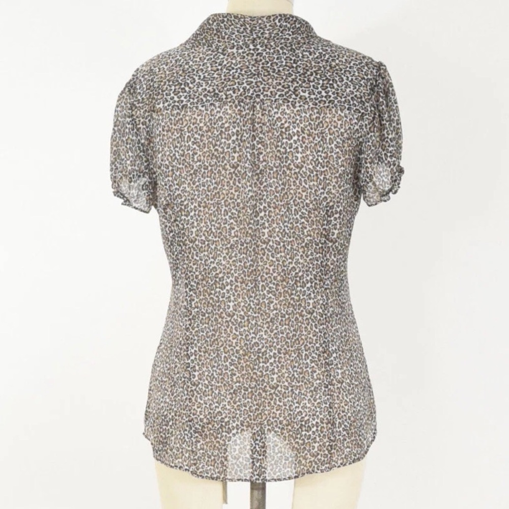 White House Black Market Leopard Chiffon Blouse Bow Sheer S - Picture 4 of 6